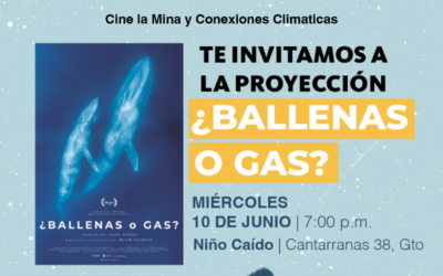 ¿Ballenas o Gas? Cine documental, territorio y reflexión colectiva en cine la mina