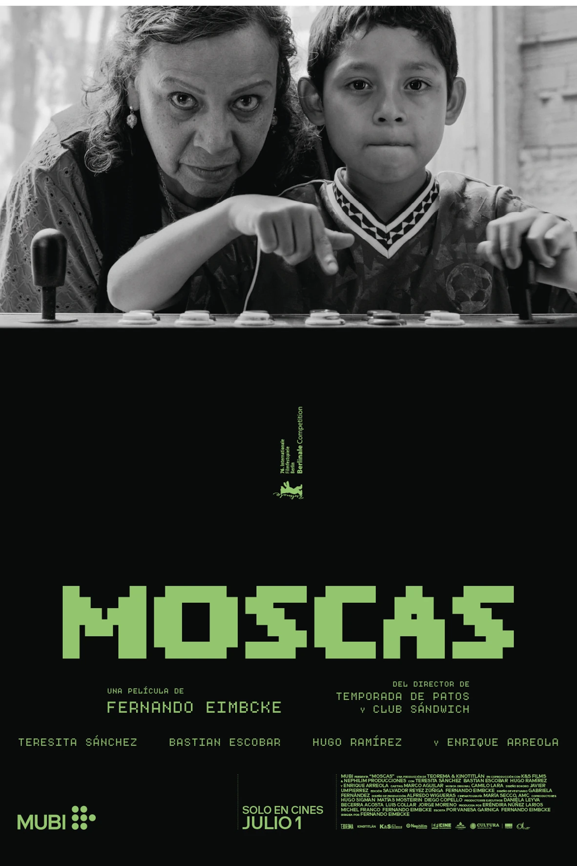 Moscas