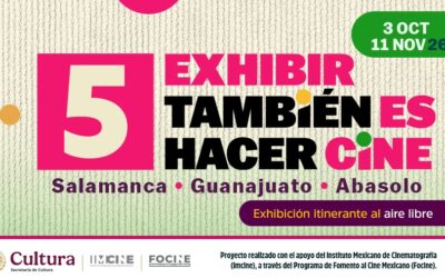 Exhibir también es hacer cine 5: diez años caminando